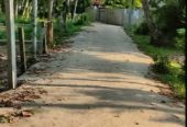 18.5 cent Residential plot for sale at Aroor Kochi