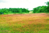 Land For Sale-payathampoyil,vellora (Po) Mathaman
