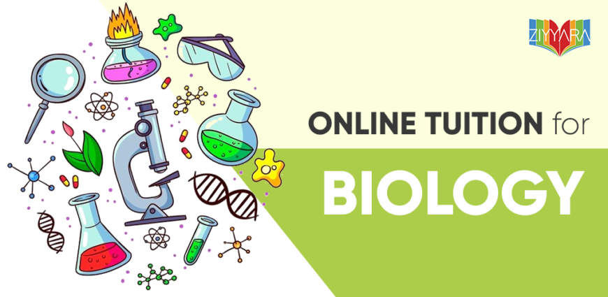 Join our online biology tuition