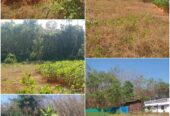 RESIDENTIAL LAND FOR SALE